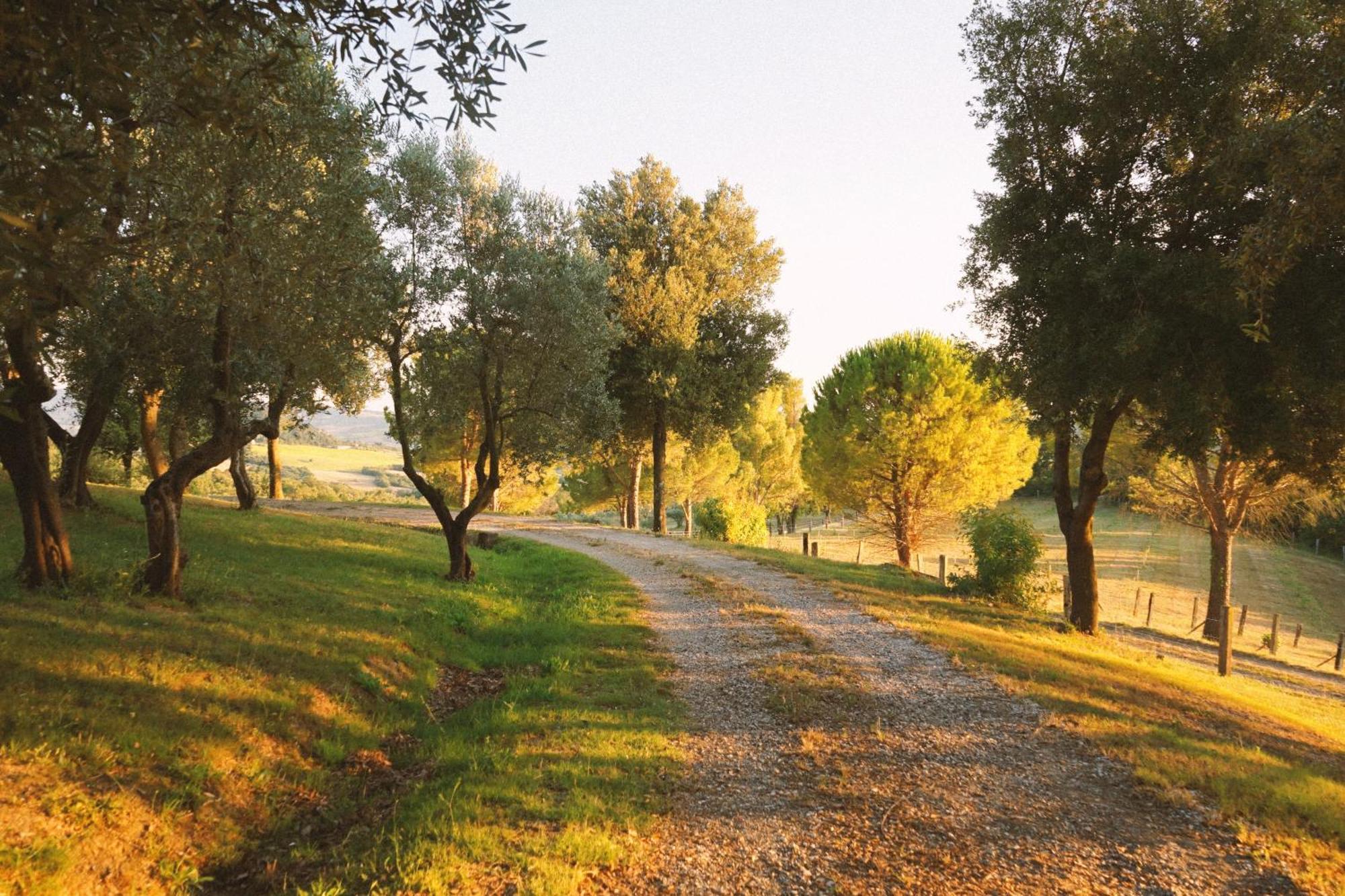 Miemo Villa Fonteintanata מראה חיצוני תמונה