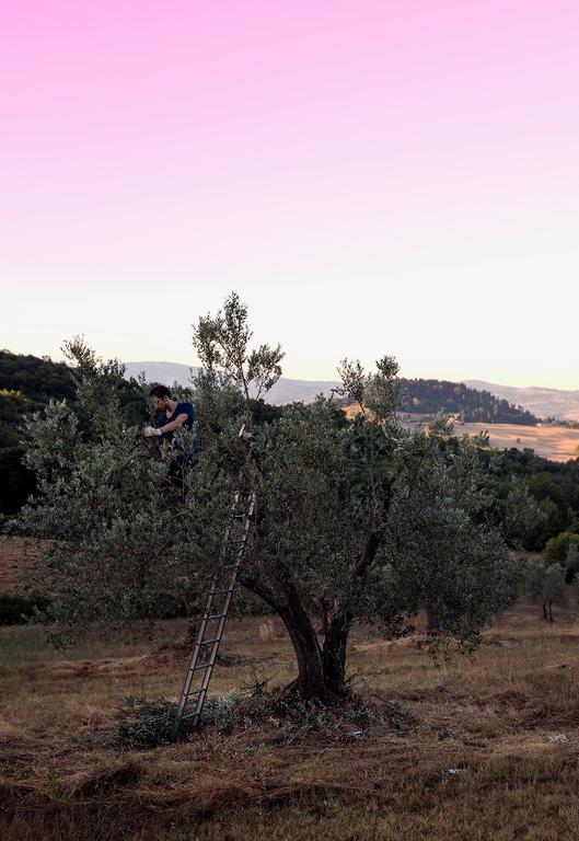 Miemo Villa Fonteintanata מראה חיצוני תמונה